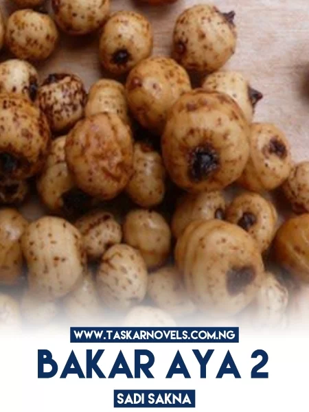 BAƘAR AYAH BOOK 2