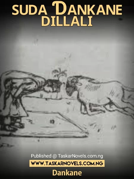 SUDA DAN KANE DILLALI