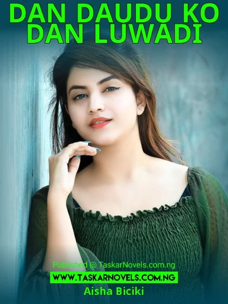 DAN DAUDU KO DAN LUWADI Book 1